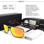 Brand Polarized Sunglasses