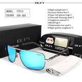 Brand Polarized Sunglasses
