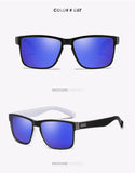 Polarized Sunglasses